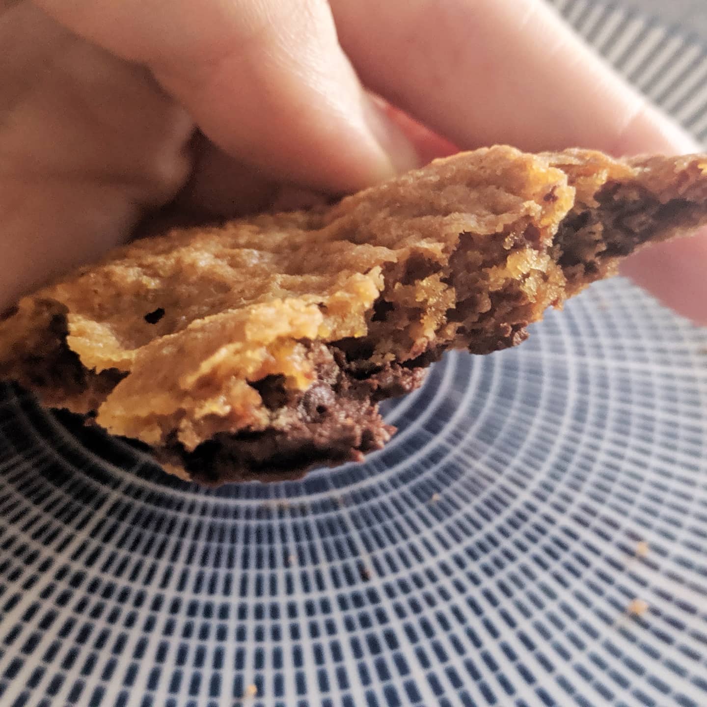 Crispy chewy chocolate chunck cookies