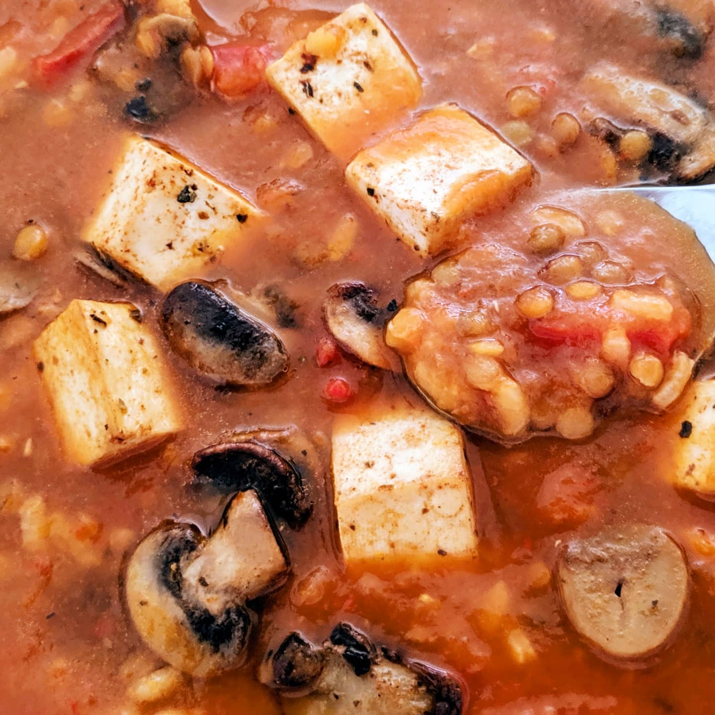 Lentejas de dos colores con verduras, arroz y tofu salteado con champiñones