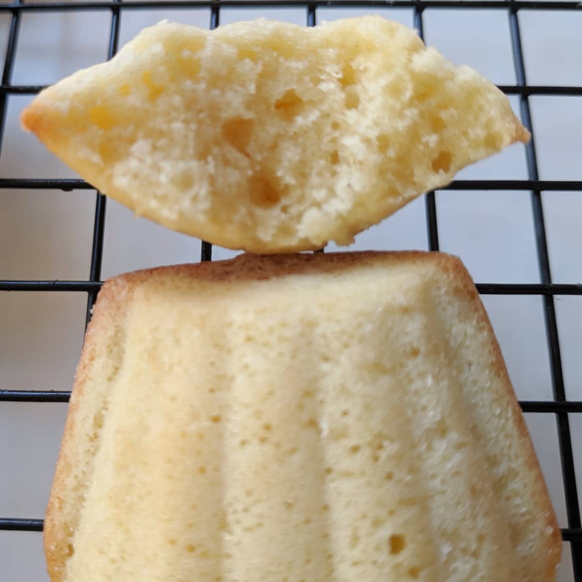 Madeleines clásicas y doble chocolate