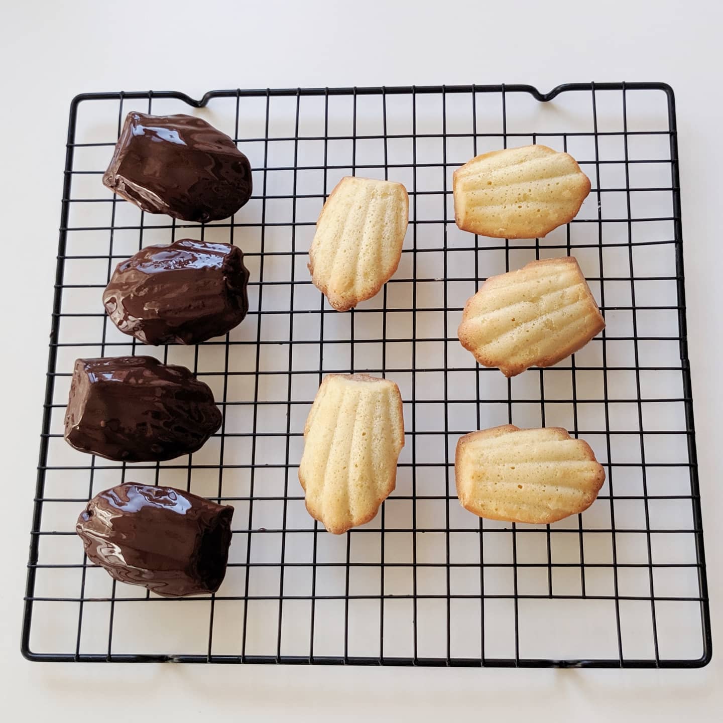 Madeleines clásicas y doble chocolate